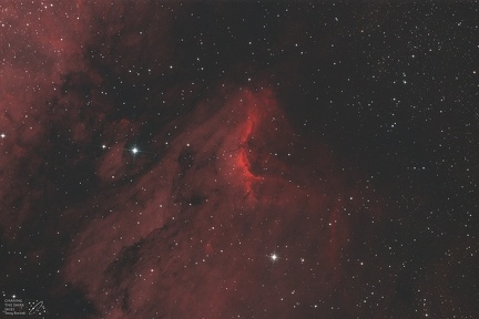 IC 5070 Pelican Nebula HO