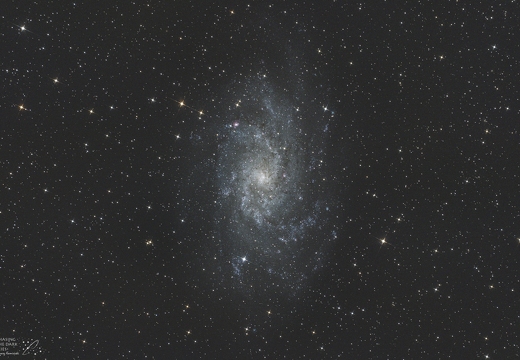 M33