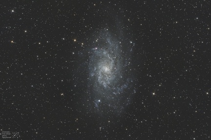 M33
