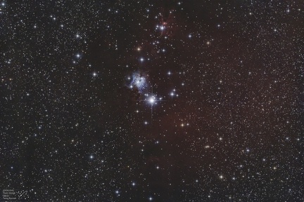 ngc2264 christmas tree cone nebula