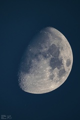 Moon Spica