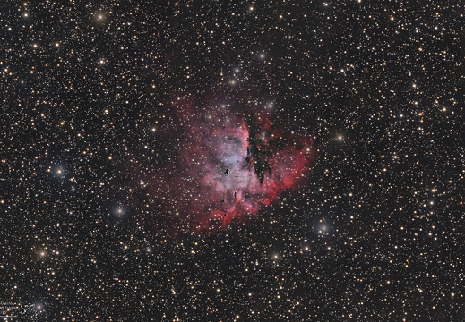 NGC 281 Pacman crop