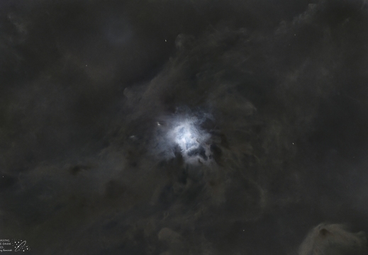 NGC 7023 IRIS Starless