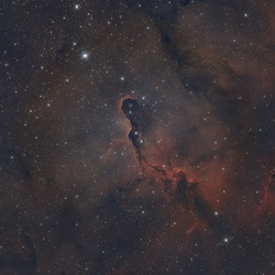 IC 1396 Trąba Słonia