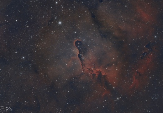 IC1396 Trąba Słonia