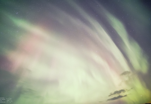 aurora iceland-1269