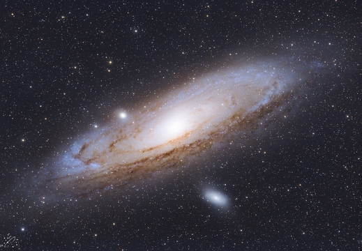 M31