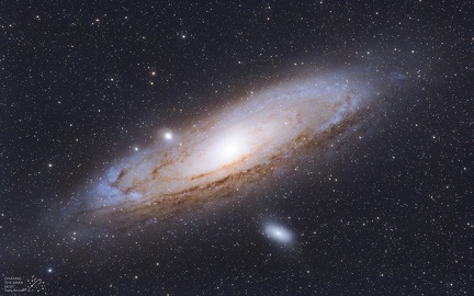 M31