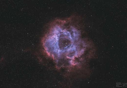 NGC2237 Rosetta