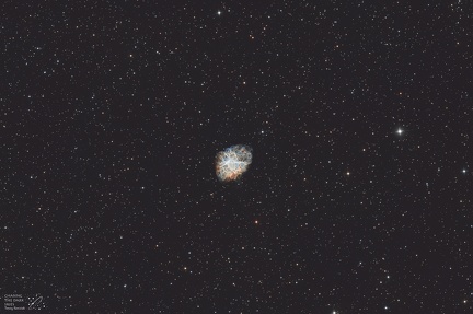 M1