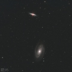 lEx-M81-M82