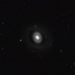 M94