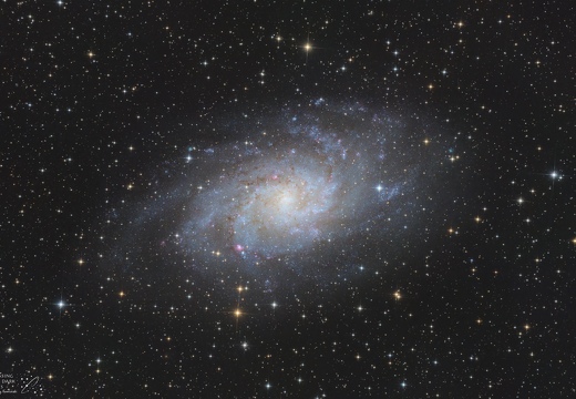 M33